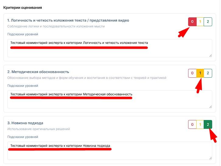 Заполнение критериев оценивания
